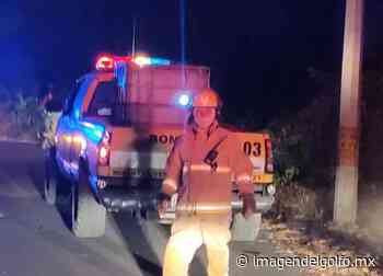 Sofocan incendio forestal en inmediaciones del Tec de Misantla - Imagen del Golfo