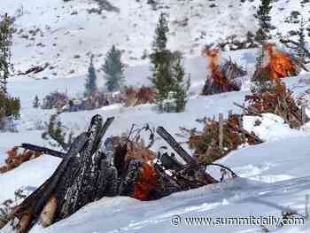 Dillon Ranger District plans over 10 wildfire mitigation projects in and around Summit County - Summit Daily