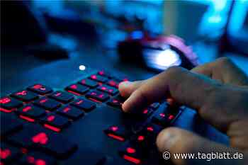 Polizei warnt vor Online-Betrügern: Mehrere Fälle im Raum Balingen - tagblatt.de