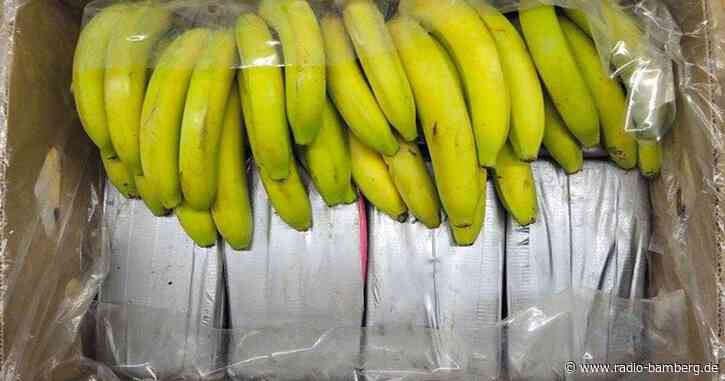 Rund 2,5 Tonnen Kokain in Bananenlieferung