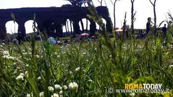 Pasquetta a Roma: tra scampagnate fuori porta, musei ed eventi in città