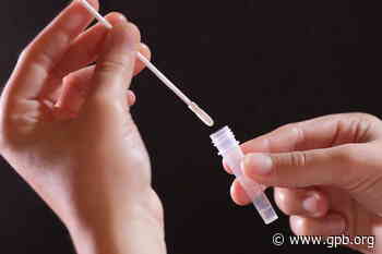 Coronavirus FAQ: Testing confuses me! When to do it? Is 'negative' always reliable? - GPB News