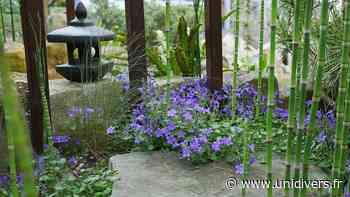 Visite du jardin zen à Courdimanche Jardin zen Courdimanche - Unidivers