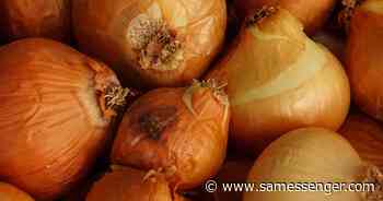 Learn how to grow onions from a UVM Extension Master Gardener - St. Albans Messenger