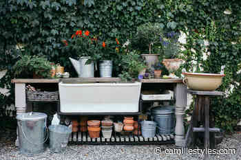 How to Grow Your Own Food: A Gardener Shares 5 Easy Tips - Camille Styles