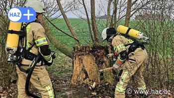 Hemmingen: Feuerwehr Hiddestorf/Ohlendorf löscht brennenden Baumstumpf - HAZ