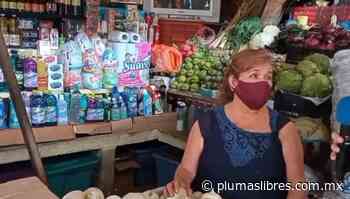 Mercado El Polvorín, 32 años de abandono en Veracruz - plumas libres