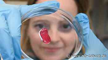 Lebensmittel - Fleisch ohne Kühe und Schweine - Neue Presse Coburg