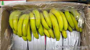 Ecuador - Rund 2,5 Tonnen Kokain in Bananenlieferung - Neue Presse Coburg