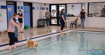 Aartselaar krijgt goede score van Gaia voor beleid rond dierenwelzijn - Het Laatste Nieuws