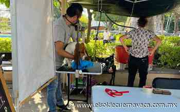 Segunda jornada de esterilización de mascotas en Jiutepec - El Sol de Cuernavaca