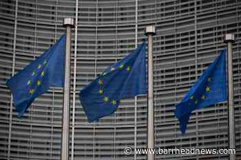 Brexit has 'brought problems' for Falkland Islands' fishing industry, MP warns - Barrhead News