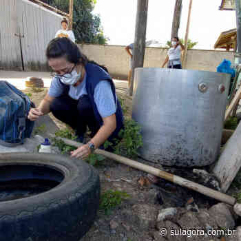Capivari promove força-tarefa para combater o mosquito da dengue - Sul Agora