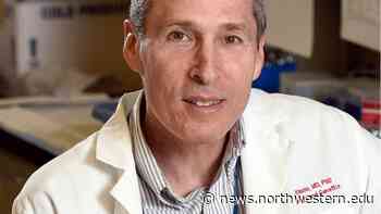 Groundbreaking molecular neuroscientist receives Nemmers Prize in Medical Science - Northwestern Now