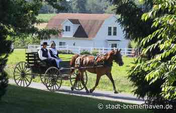 Offline: Es gibt in Deutschland mehr Internet-Abstinenzler, als man denkt - Caschys Blog