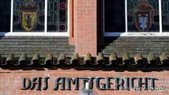 Prozess in Neumünster: Der Führerschein war aus dem Internet: Illegale Fahrt in der S-Klasse wurde vor Gericht verhandelt | shz.de - shz.de