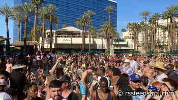 $50 cocktails, long lines for Snoop Dogg and twerking in thongs: One weekend, 10 Vegas pool parties