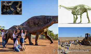 Juvenile dinosaur nicknamed 'Ollie' is Australia's smallest sauropod