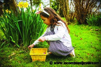 Easter egg hunts and other eggceptional traditions - Lacombe Express