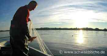 Bodensee-Fischer fangen so wenig wie noch nie - Schwäbische