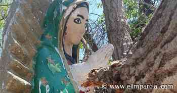 Álamo derriba capilla e imagen de la virgen de Guadalupe queda intacta - EL IMPARCIAL Sonora
