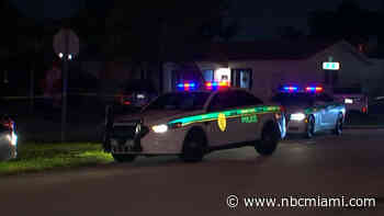 Man Killed, 3 Others Shot Including 2 Juveniles in Golden Glades: Police