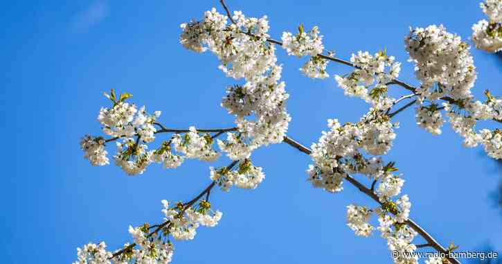 In weiten Teilen Deutschlands bleibt es frühlingshaft