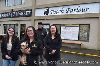 Dog grooming business in Sidney gets a life leash, but reopening months away – Vancouver Island Free Daily - vancouverislandfreedaily.com