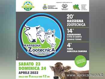 Ventesima edizione della Rassegna Zootecnica di Darfo Boario Terme - Radio Voce Camuna