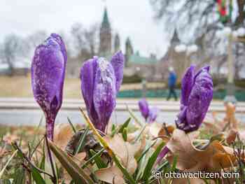 Weather: Sunny start to Monday then spring snow in the forecast