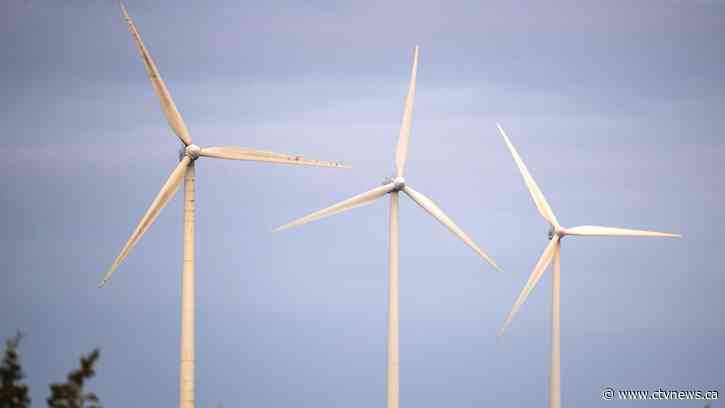 Energy transition will be challenging in era of public protests, regulatory hurdles, experts say