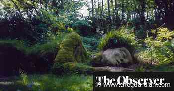 Cornwall’s sleeping beauty: the tale of Heligan’s lost gardens - The Guardian