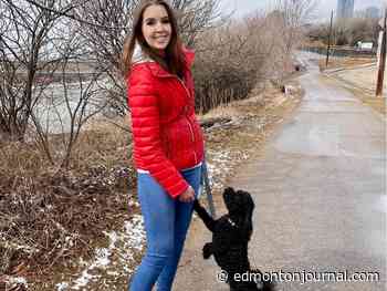 A bark for help: Dog gathers help after owner falls down river valley embankment