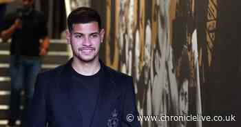 Bruno's life at Newcastle From fast-track English lessons to jetting in his dogs - Chronicle Live