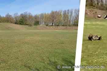 Autos im Freizeitpark: Stadt Marl trifft klare Aussage - Marler Zeitung