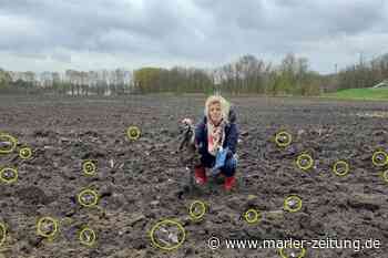 Marl: Der Acker, unter dem eine Müllhalde schlummert - Marler Zeitung