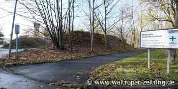 Industriepark gate.ruhr in Marl: Vor dem Baustart werden Bäume gefällt - Waltroper Zeitung