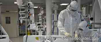 Washington annonce un sommet mondial sur la COVID-19 le 12 mai