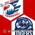 Video | Adler Mannheim - Straubing Tigers 8:3 | Viertelfinale - Best-of-five | DEL Play-offs 2022 - kicker