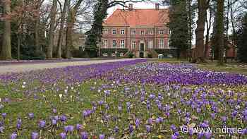 Moorbilder auf Gut Altenkamp in Papenburg - NDR.de