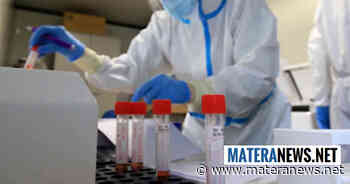 Coronavirus Matera, ultimissimo aggiornamento: 714 nuovi positivi di cui 71 a Matera, 18 a Policoro, 14 a Pisticci e 12 a Bernalda. Ecco i dati comune per comune - Matera News