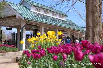 Zoo Blooms Are in Full Display at the Cincinnati Zoo. Check Them Out Here. - Cincinnati CityBeat