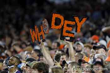 5 celebrities who are huge fans of the Cincinnati Bengals - Stripe Hype