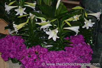 Easter Afternoon and Evening Masses in the Archdiocese of Cincinnati - The Catholic Telegraph