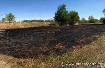 FW Frankenthal: Größerer Flächenbrand im Bereich FT-Studernheim