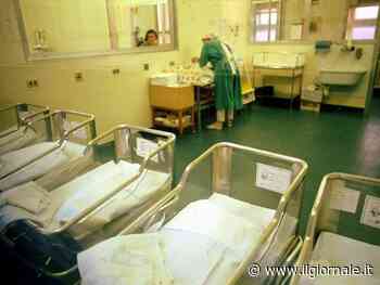 "Mai più una fiera dell'utero in affitto"