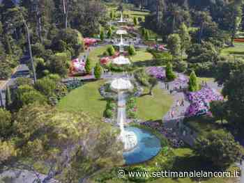 Ovada partecipa ad Euroflora, con i filari di Dolcetto e un frutteto sulla collina - L'Ancora