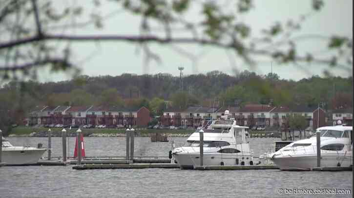 Baltimore County Targeting Back River’s Midge Swarms With Spraying Program