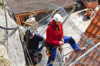 Felssicherungsarbeiten am Breisacher Münsterberg nähern sich dem Ende - Breisach - Badische Zeitung