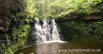 The stunning Yorkshire waterfall hidden in an oasis - Hull Live